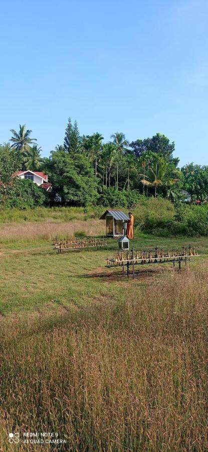 Narayanalayam-Vintage Retreat-Homestay & Rest'Inn Kannur Luaran gambar
