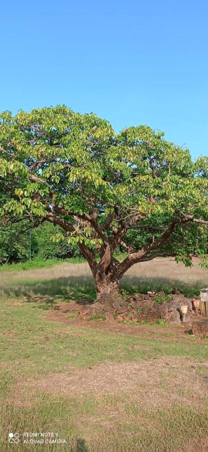 Narayanalayam-Vintage Retreat-Homestay & Rest'Inn Kannur Luaran gambar