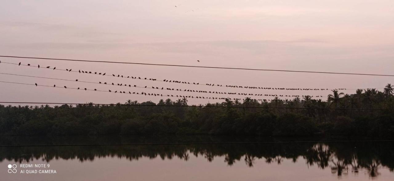 Narayanalayam-Vintage Retreat-Homestay & Rest'Inn Kannur Luaran gambar