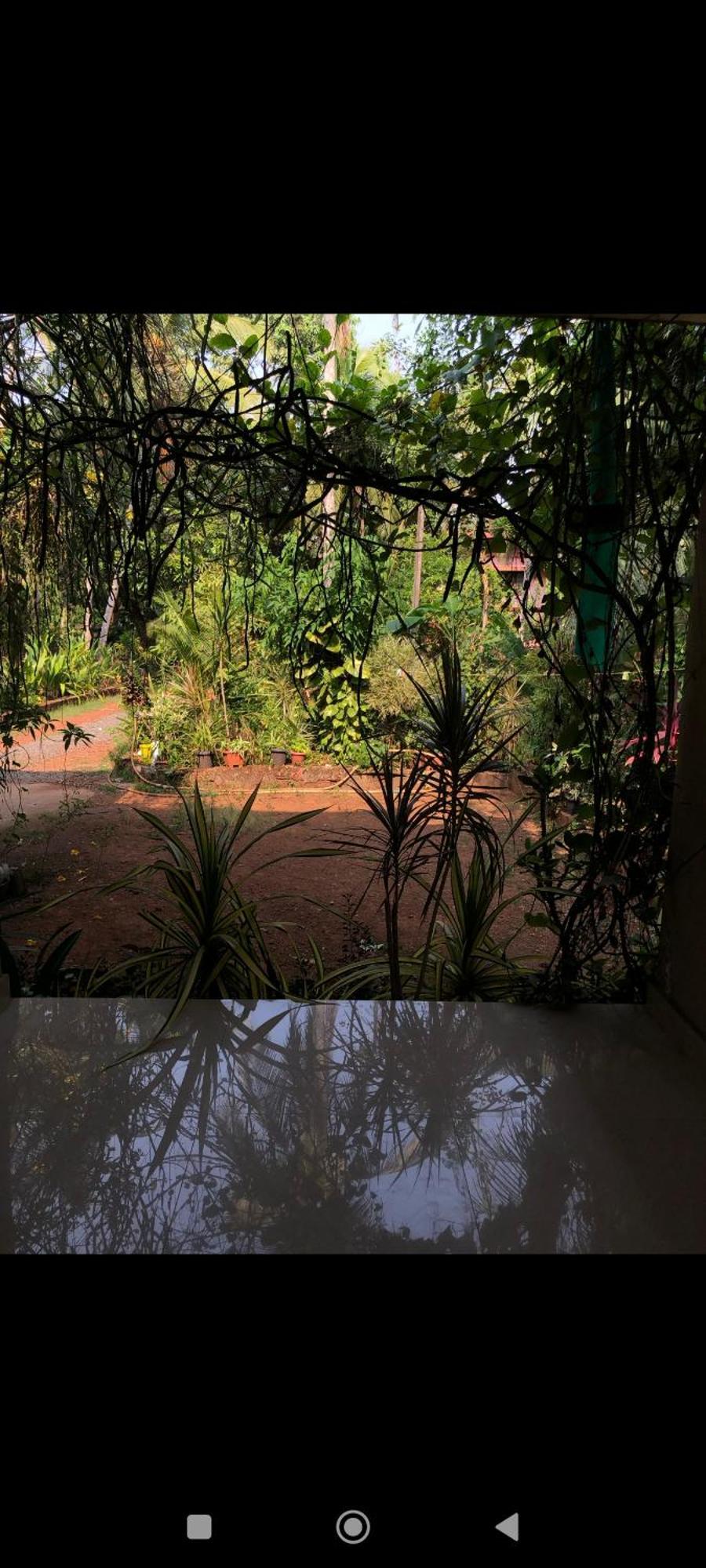 Narayanalayam-Vintage Retreat-Homestay & Rest'Inn Kannur Luaran gambar
